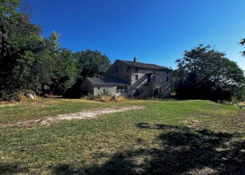 Foto 7 - Terreno agricolo contrada Montamboni, Montegiorgio - foto 7