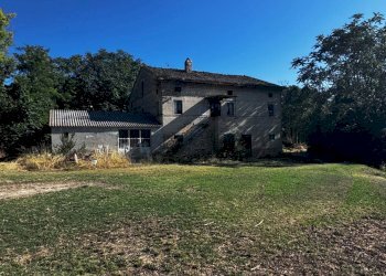 Foto 8 - Terreno agricolo contrada Montamboni, Montegiorgio - foto 8