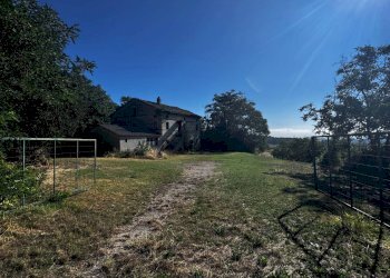 Foto 10 - Terreno agricolo contrada Montamboni, Montegiorgio - foto 10