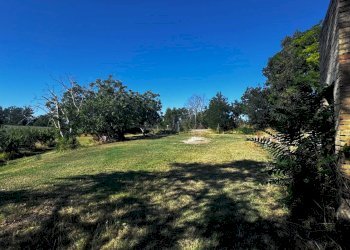 Foto 11 - Terreno agricolo contrada Montamboni, Montegiorgio - foto 11