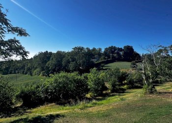 Foto 13 - Terreno agricolo contrada Montamboni, Montegiorgio - foto 13