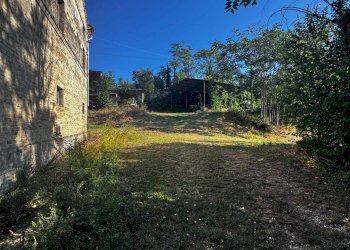 Foto 14 - Terreno agricolo contrada Montamboni, Montegiorgio - foto 14