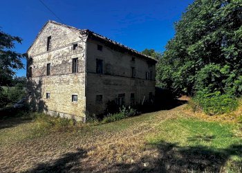 Foto 15 - Terreno agricolo contrada Montamboni, Montegiorgio - foto 15