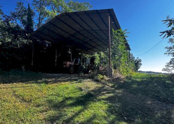 Foto 16 - Terreno agricolo contrada Montamboni, Montegiorgio - foto 16