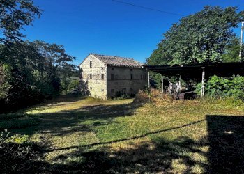 Foto 18 - Terreno agricolo contrada Montamboni, Montegiorgio - foto 18