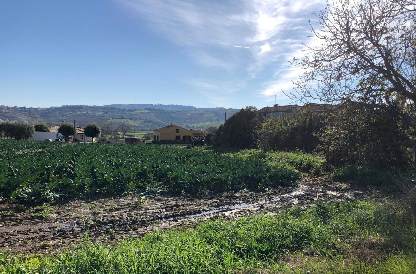 Foto 1 - Terreno edificabile Contrada Santa Lucia, Roseto degli Abruzzi - foto 1