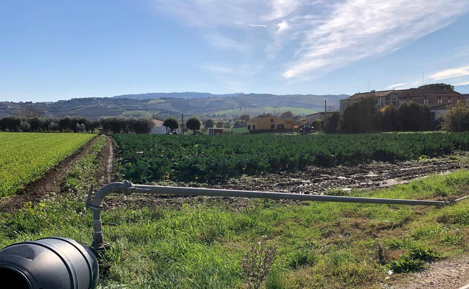 Foto 2 - Terreno edificabile Contrada Santa Lucia, Roseto degli Abruzzi - foto 2