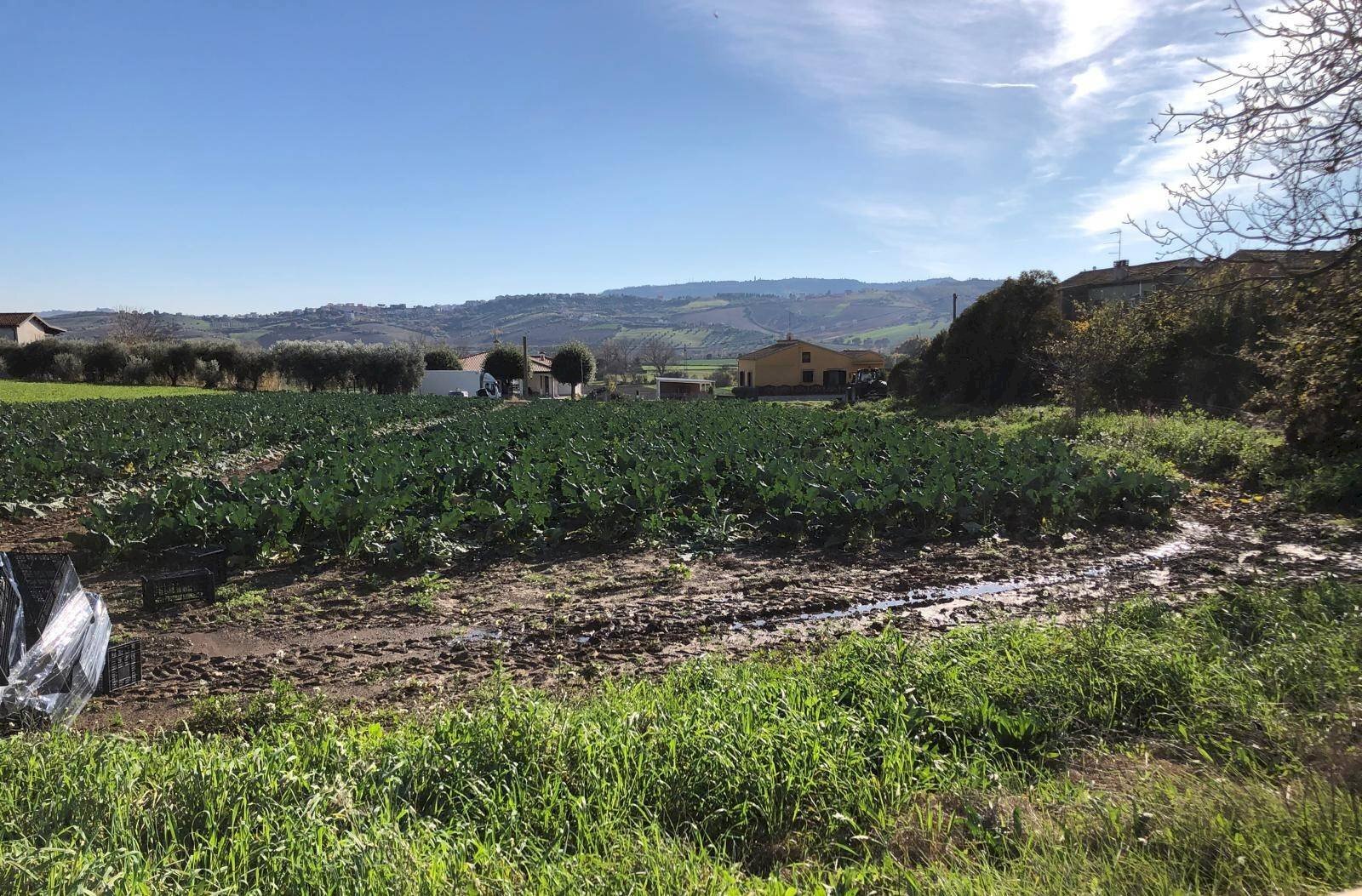 Foto 3 - Terreno edificabile Contrada Santa Lucia, Roseto degli Abruzzi - foto 3