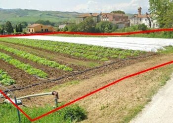 Foto 6 - Terreno edificabile Contrada Santa Lucia, Roseto degli Abruzzi - foto 6