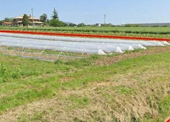 Foto 7 - Terreno edificabile Contrada Santa Lucia, Roseto degli Abruzzi - foto 7