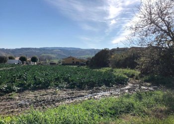Foto 1 - Terreno edificabile Contrada Santa Lucia, Roseto degli Abruzzi - foto 1