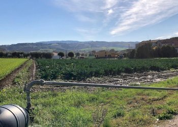 Foto 2 - Terreno edificabile Contrada Santa Lucia, Roseto degli Abruzzi - foto 2