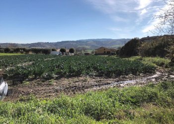 Foto 3 - Terreno edificabile Contrada Santa Lucia, Roseto degli Abruzzi - foto 3