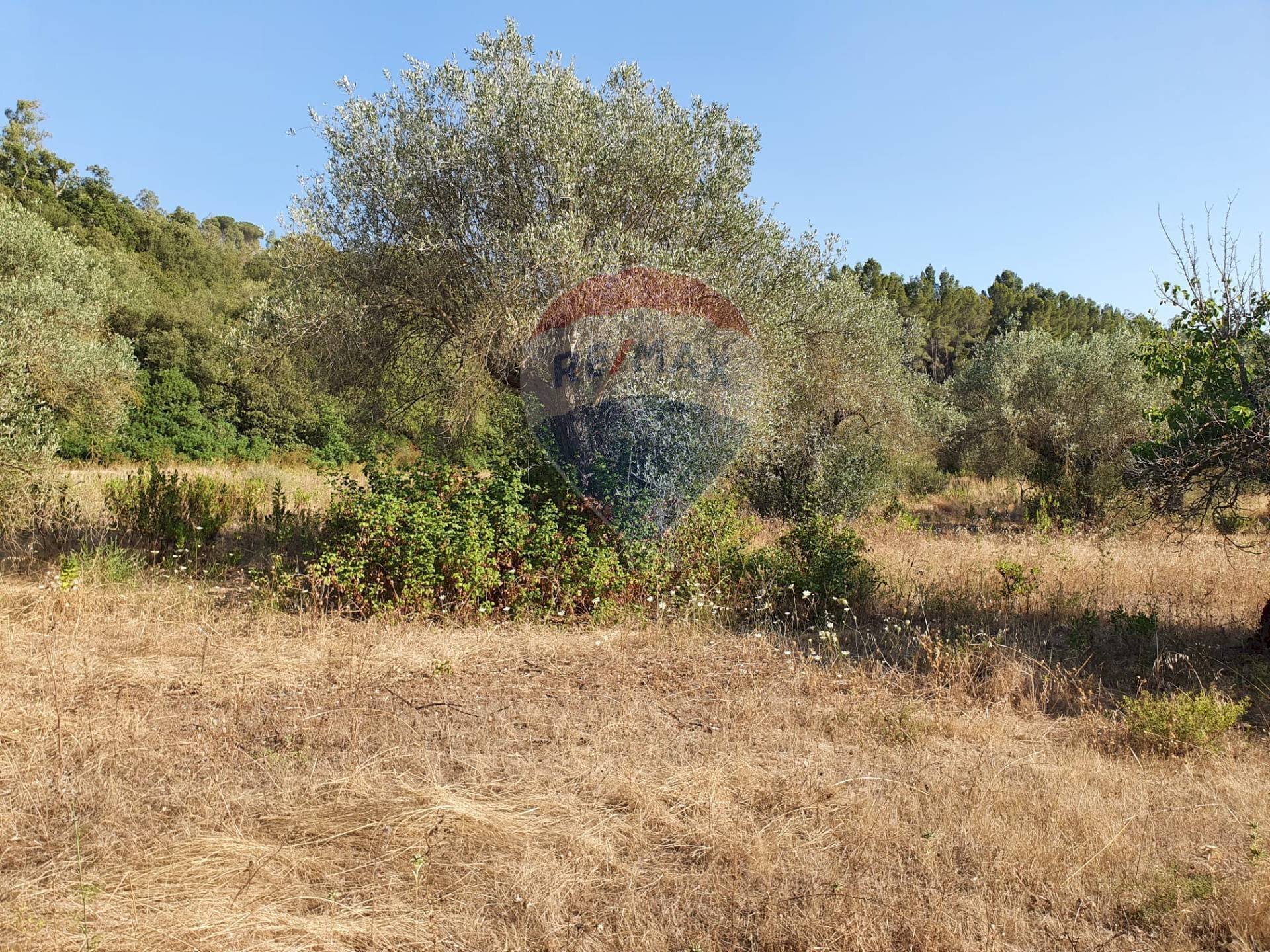 Vista delle montagne - Agricultural land Contrada Molara
snc, Caltagirone - photo 2