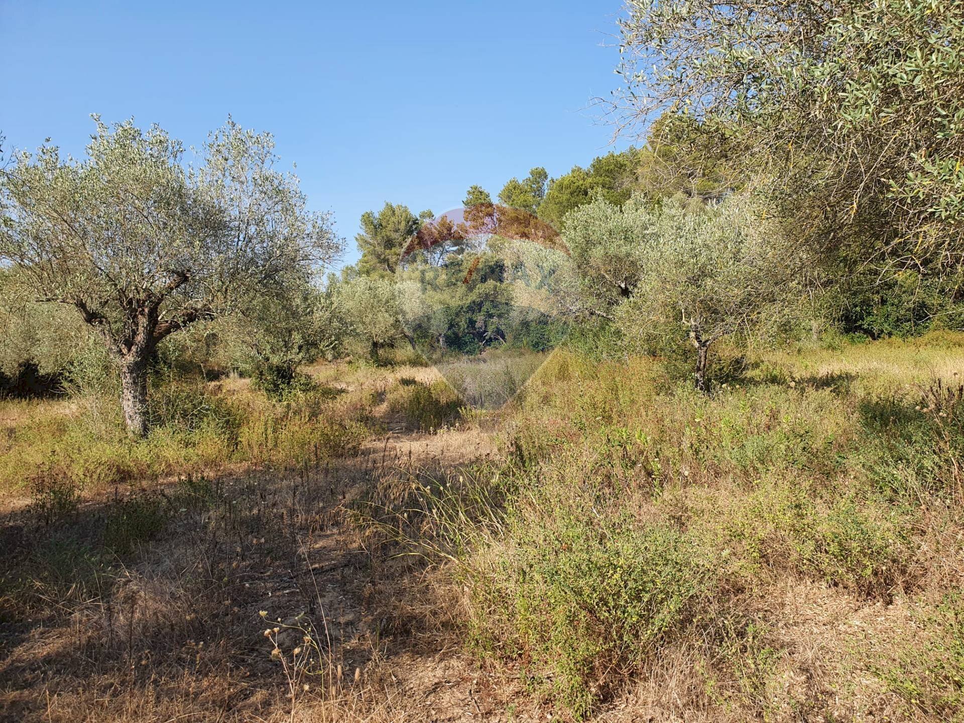 Vista delle montagne - Agricultural land Contrada Molara
snc, Caltagirone - photo 3