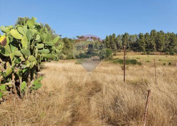 Giardino - Terreno agricolo Contrada Molara
 
snc, Caltagirone - foto 1