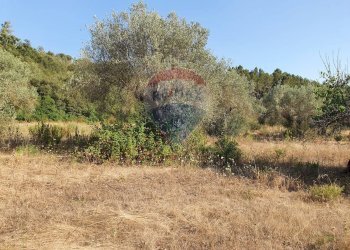 Vista delle montagne - Terreno agricolo Contrada Molara
 
snc, Caltagirone - foto 2