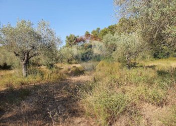Vista delle montagne - Terreno agricolo Contrada Molara
 
snc, Caltagirone - foto 3