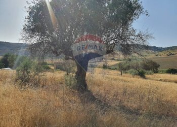 Vista delle montagne - Terreno agricolo Contrada Molara
 
snc, Caltagirone - foto 5