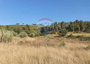 Vista delle montagne - Terreno agricolo Contrada Molara
 
snc, Caltagirone - foto 8