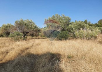 Giardino - Terreno agricolo Contrada Molara
 
snc, Caltagirone - foto 9