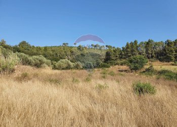 Vista delle montagne - Terreno agricolo Contrada Molara
 
snc, Caltagirone - foto 10