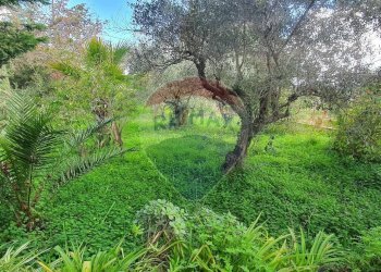 Giardino - Villa VIA FISICARA
 
16, Caltagirone - foto 17