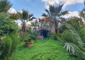 Giardino - Villa VIA FISICARA
 
16, Caltagirone - foto 21