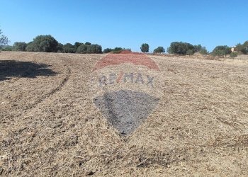 Vista dell\'acqua - Terreno agricolo contrada ianche
 
sn, Caltagirone - foto 6