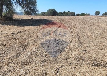 Vista dell\'acqua - Terreno agricolo contrada ianche
 
sn, Caltagirone - foto 7