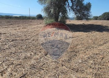 Vista delle montagne - Terreno agricolo contrada ianche
 
sn, Caltagirone - foto 8