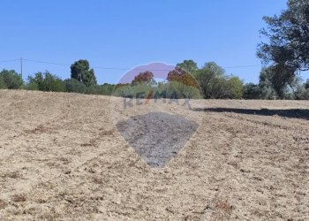 Vista delle montagne - Terreno agricolo contrada ianche
 
sn, Caltagirone - foto 9
