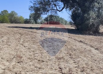 Vista dell\'acqua - Terreno agricolo contrada ianche
 
sn, Caltagirone - foto 10