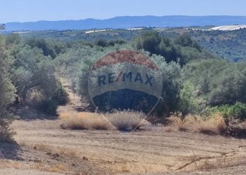 Vista delle montagne - Terreno agricolo contrada ianche
 
sn, Caltagirone - foto 12