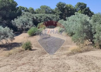 Giardino - Terreno agricolo contrada ianche
 
sn, Caltagirone - foto 13