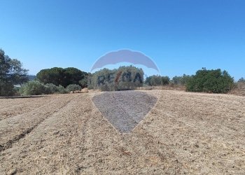 Vista delle montagne - Terreno agricolo contrada ianche
 
sn, Caltagirone - foto 19