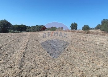 Vista delle montagne - Terreno agricolo contrada ianche
 
sn, Caltagirone - foto 22