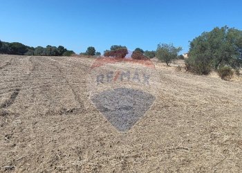 Vista dell\'acqua - Terreno agricolo contrada ianche
 
sn, Caltagirone - foto 25