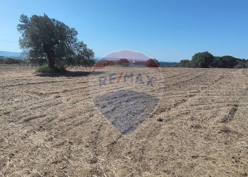 Vista delle montagne - Terreno agricolo contrada ianche
 
sn, Caltagirone - foto 26