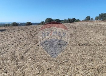 Vista delle montagne - Terreno agricolo contrada ianche
 
sn, Caltagirone - foto 28