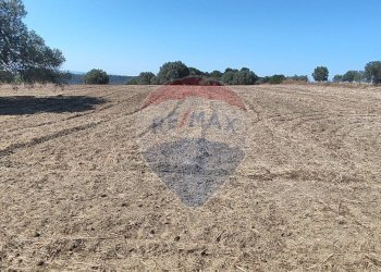 Vista dell\'acqua - Terreno agricolo contrada ianche
 
sn, Caltagirone - foto 29