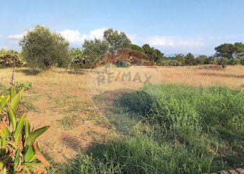 Giardino - Villa CONTRADA COSTA BAIRA
 
16, Caltagirone - foto 35