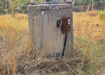 Giardino - Villa CONTRADA COSTA BAIRA
 
16, Caltagirone - foto 38