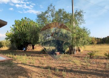 Giardino - Villa contrada costabaira
 
18, Caltagirone - foto 8