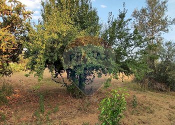 Giardino - Villa contrada costabaira
 
18, Caltagirone - foto 26