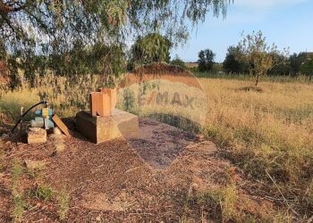 Giardino - Villa contrada costabaira
 
18, Caltagirone - foto 35