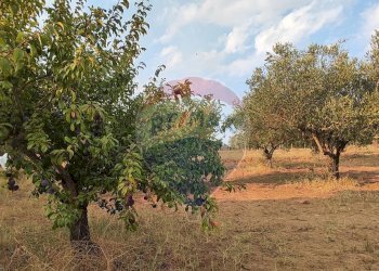 Giardino - Villa contrada costabaira
 
18, Caltagirone - foto 36