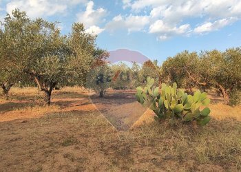 Giardino - Villa contrada costabaira
 
18, Caltagirone - foto 37