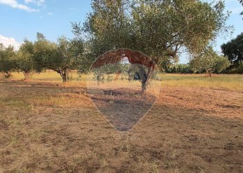 Giardino - Villa contrada costabaira
 
18, Caltagirone - foto 38