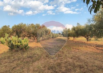 Giardino - Villa contrada costabaira
 
18, Caltagirone - foto 39